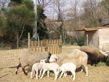 Gites de Charme dans la Drome
