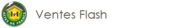 Ventes Flash
