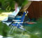 Camping � la Ferme