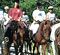 Gite et cheval dans la Drome
