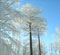 Sejour a la neige dans la Drome