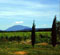G�te vignoble