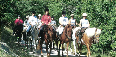 Gite et cheval dans la Drome