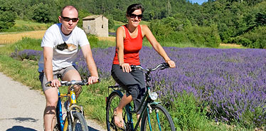 G�te vignoble