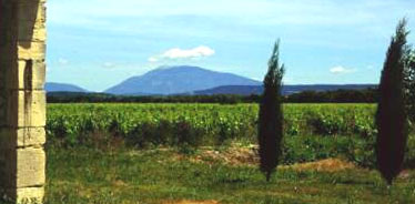 G�te vignoble