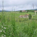 gite - LA MURE - L'AFF&Ucirc;T DOUILLET - VASSIEUX EN VERCORS - Dr&ocirc;me