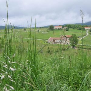 Location  n�G364011 � VASSIEUX EN VERCORS (26)
