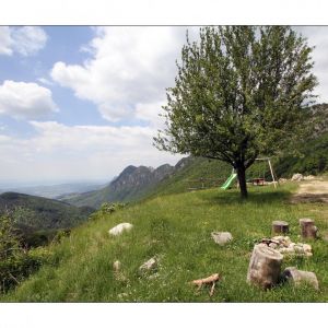 Location  n�G214002 � MORNANS (26)