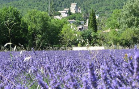 Le Poët Laval en Drôme Provençale Gîte n°G243001 Le Poët-Laval - Drôme - Le Poët Laval en Drôme Provençale
