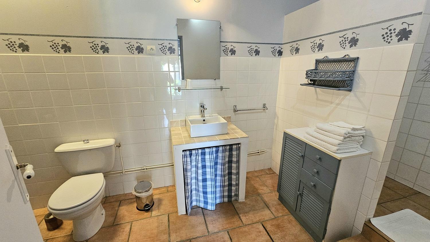 Salle de bain de la chambre Romarin avec douche à l'italienne. photo 26