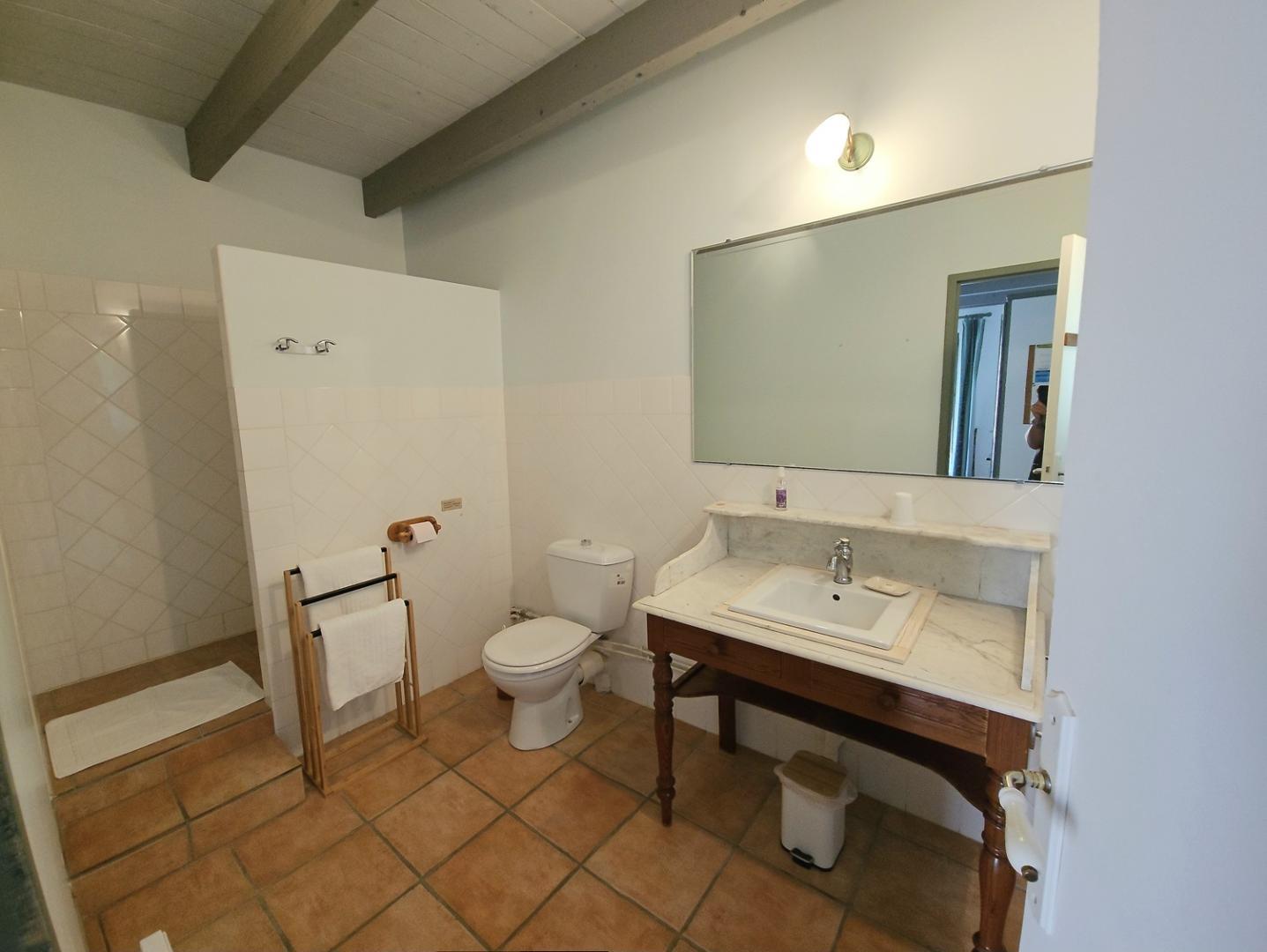 Salle de bain de la chambre Sauge avec douche à l'italienne. photo 28