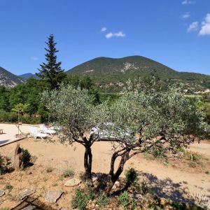 Location  n�G367014 � VENTEROL (26)