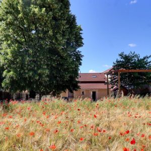 Location  n�G155002 � LAPEYROUSE MORNAY (26)