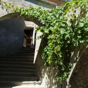 Location  n�G299003 � STE-CROIX (26)