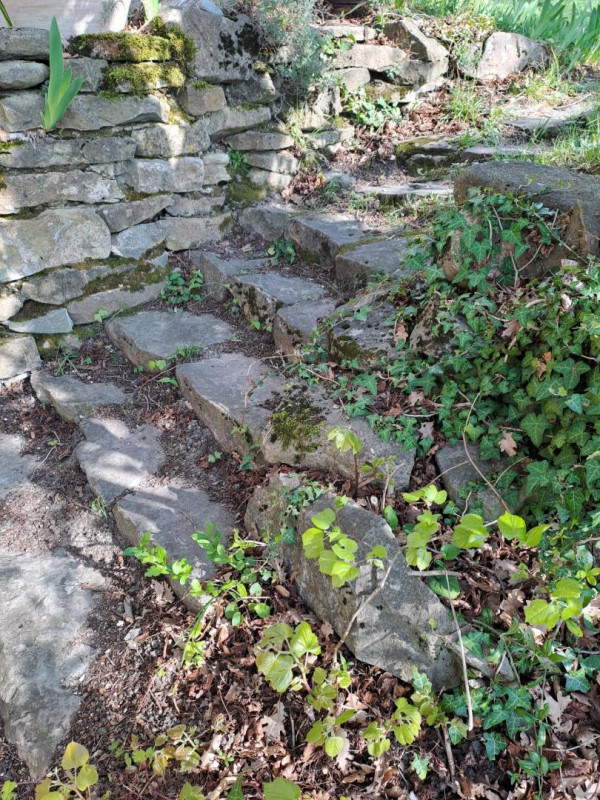 photo 34