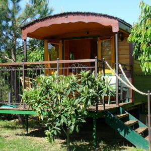 Location  n�G233104 � PIEGON (26)