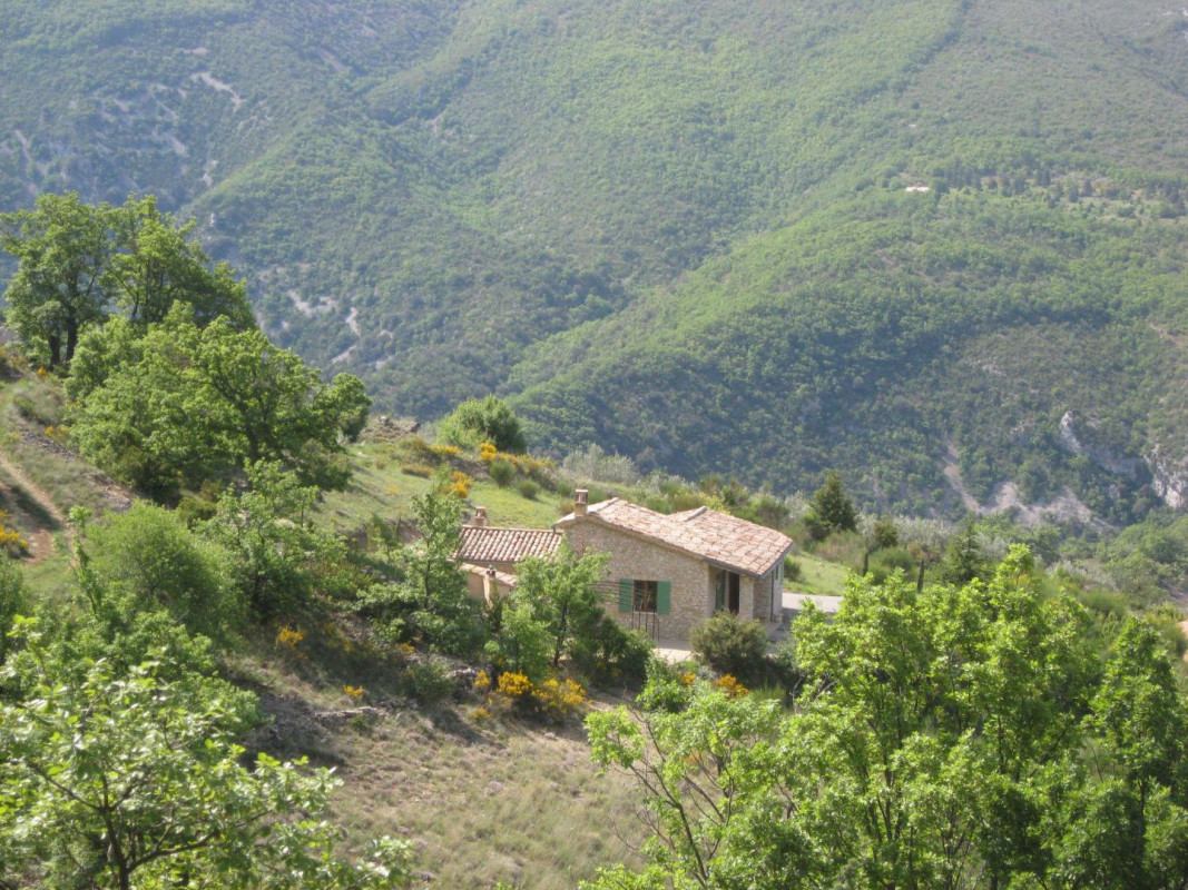 photo 0
