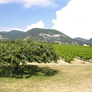 Location  n�G367100 � VENTEROL (26)