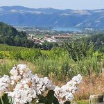 Vue du g&icirc;te 