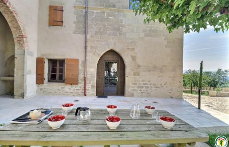 G&icirc;te n&deg;G28286 Bathernay - Dr&ocirc;me - Table ext&eacute;rieure d&eacute;di&eacute;e au g&icirc;te dans la cour, face &agrave; l'entr&eacute;e du logement