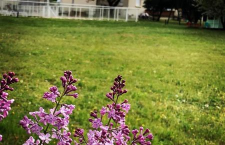 G&icirc;te n&deg;G31003 La B&acirc;tie-Rolland - Dr&ocirc;me - photoPrintemps